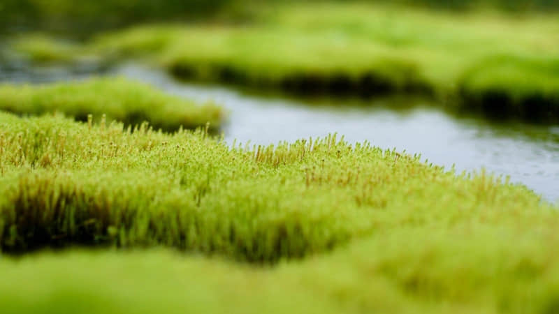 曹操遇蒋干（曹操遇蒋干歇后语）