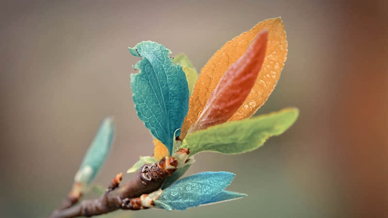 春雨像什么一样轻轻的落在地上（春雨像什么一样轻轻的落在地上仿写）