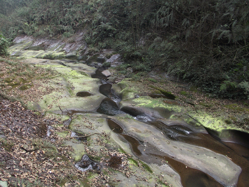 山竹是什么意思（5a山竹是什么意思）