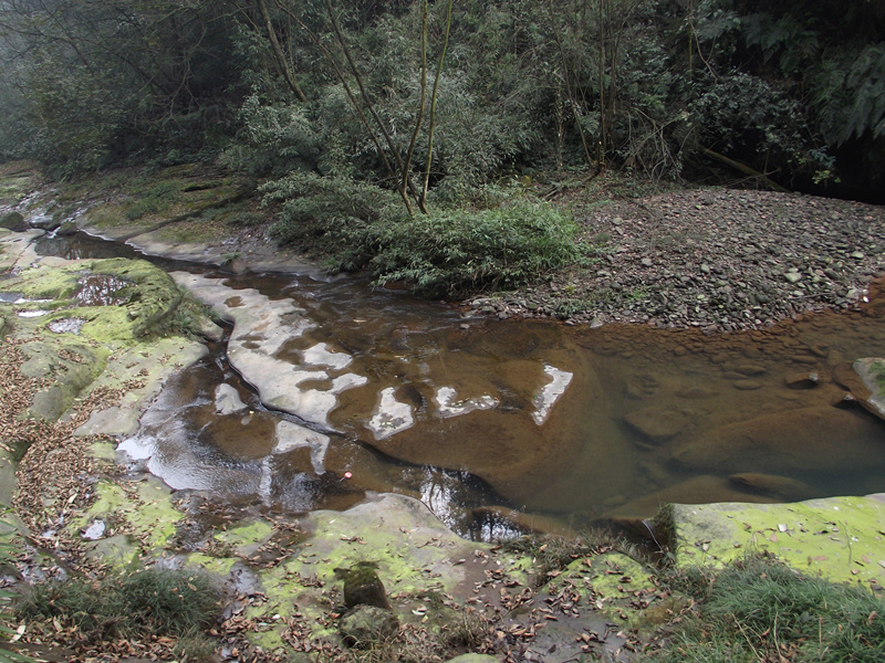 车厘子产地（车厘子产地价格）